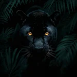 black-tropical-wallpapers-aesthetic-jungle-glowing-eyes-cover