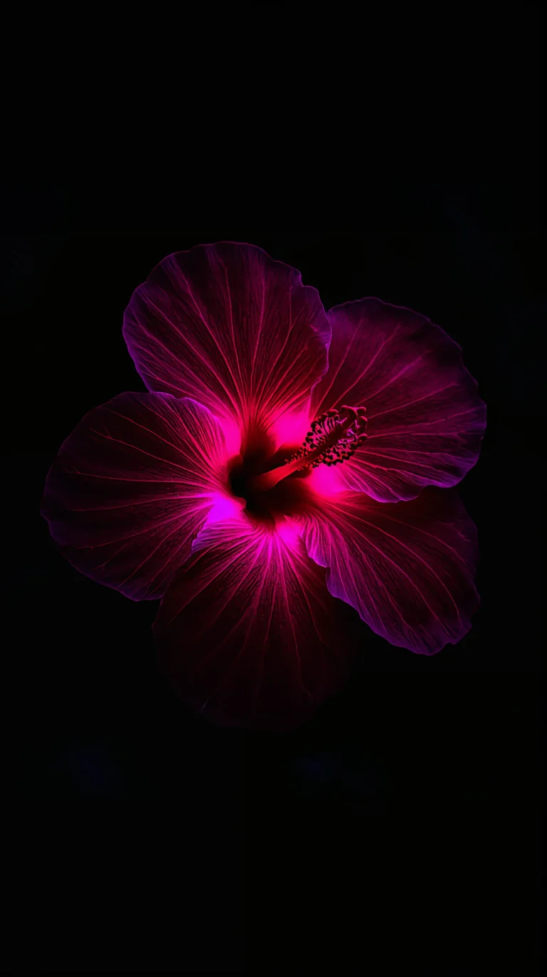 black-tropical-wallpapers-aesthetic-neon-hibiscus