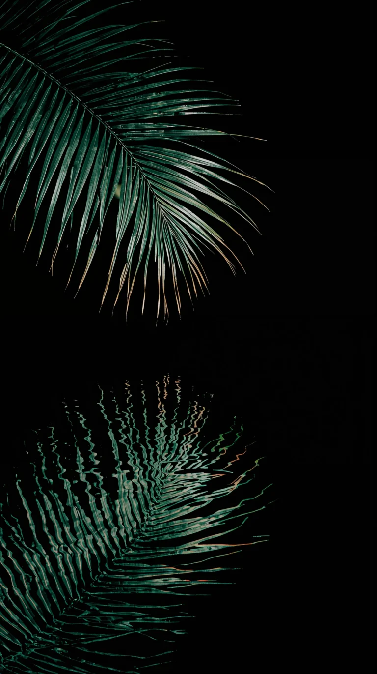 black-tropical-wallpapers-aesthetic-palm-leaves-minimal