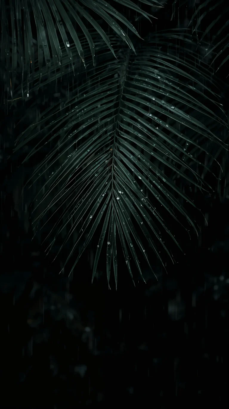 black-tropical-wallpapers-aesthetic-palm-leaves-minimal-sec