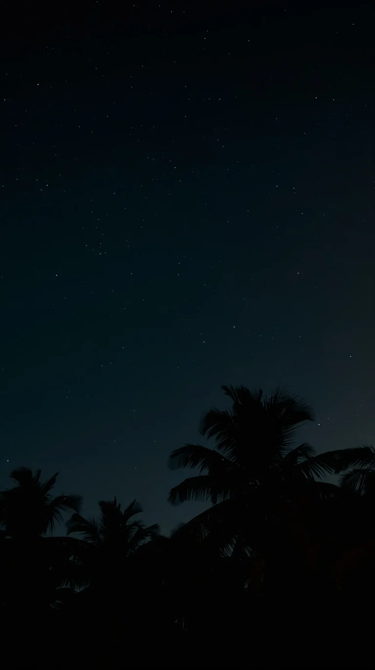 black-tropical-wallpapers-aesthetic-palm-silhouette-stars