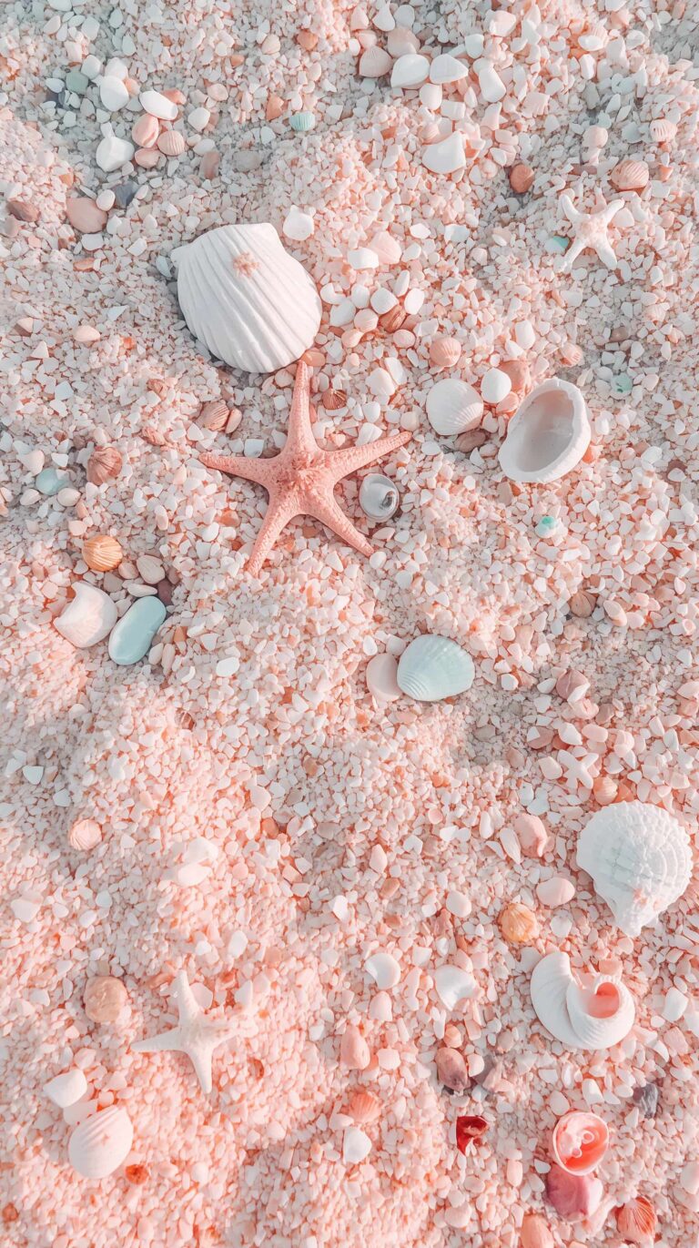 cute-beach-wallpapers-phone-pastel-tropical-beach-sunrise