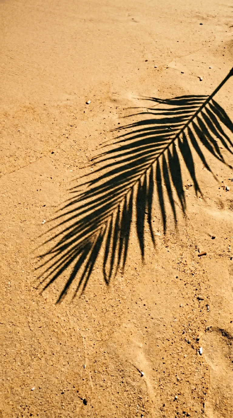minimalist-beach-wallpapers-for-phone-palm-shadow-sand