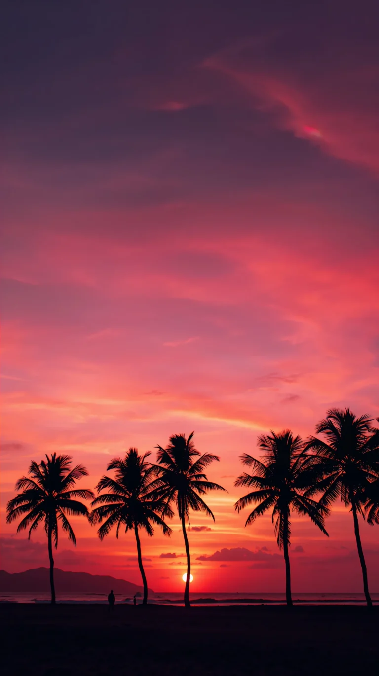 summer-sunset-wallpapers-aesthetic-4k-palm-silhouette-pink-sky-phone