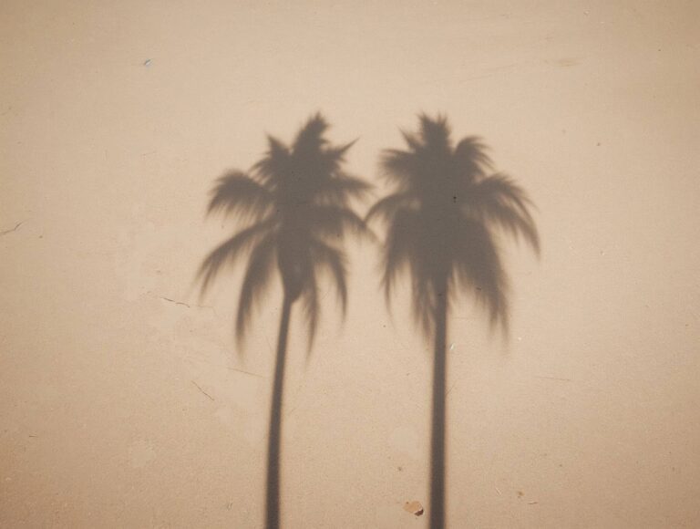 vintage-beach-wallpapers-aesthetic-palm-shadow-heart-sand-ipad