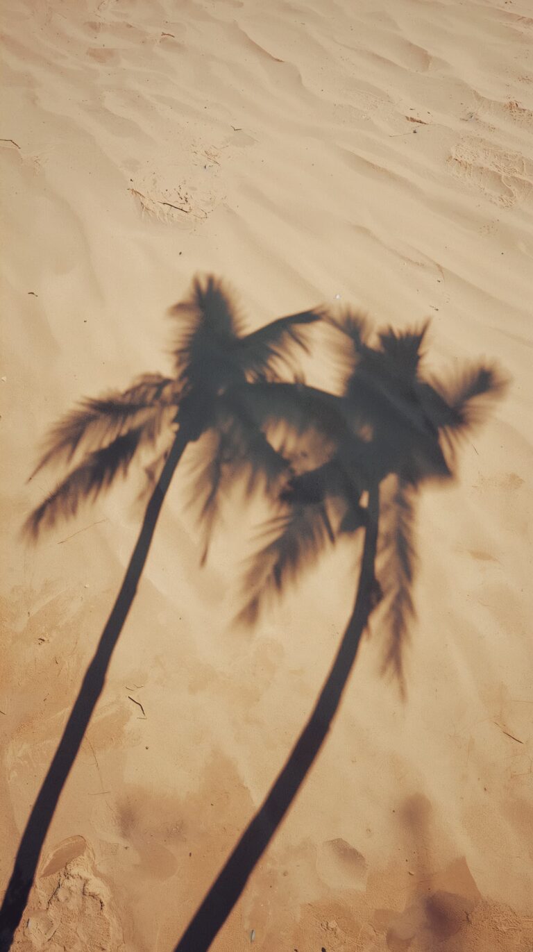 vintage-beach-wallpapers-aesthetic-palm-shadow-heart-sand-phone