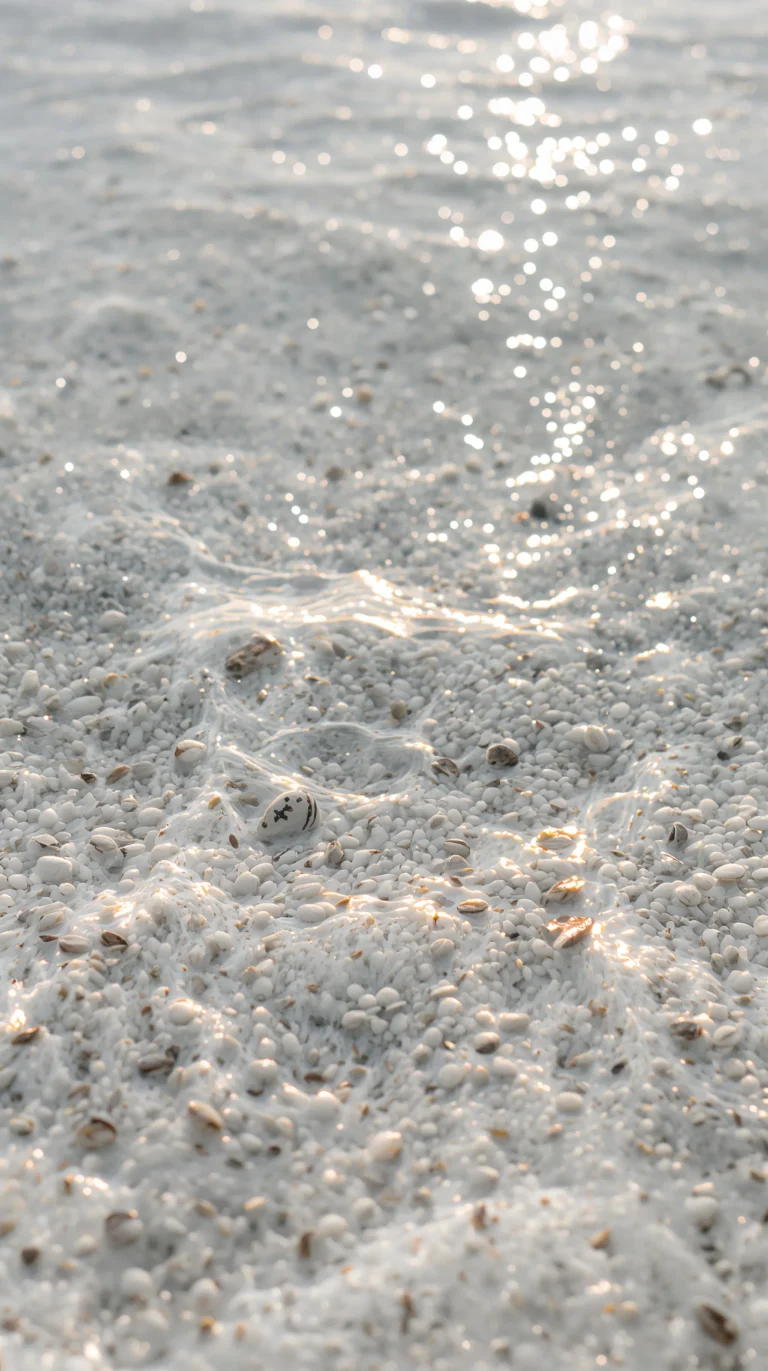 beach-summer-wallpapers-for-iphone-crystal-clear-water-shells