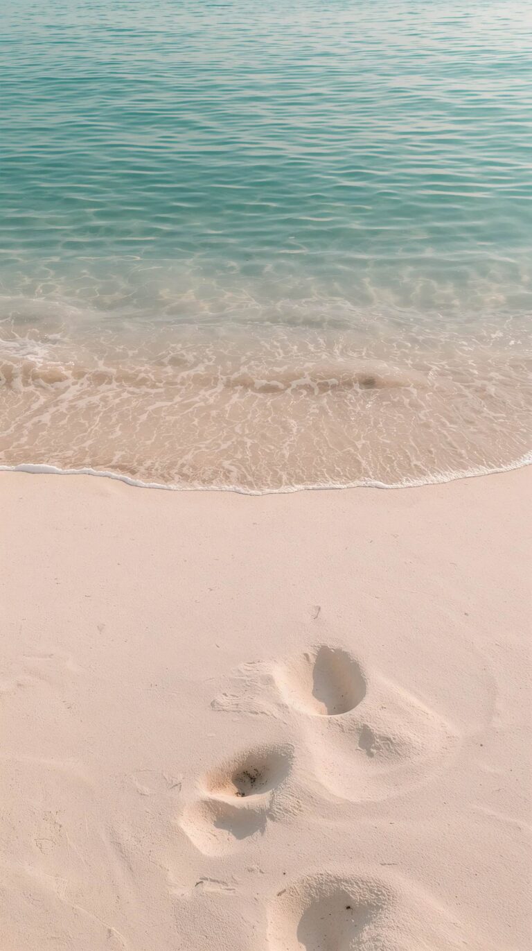 beach-summer-wallpapers-for iphone-footprints-turquoise-ocean