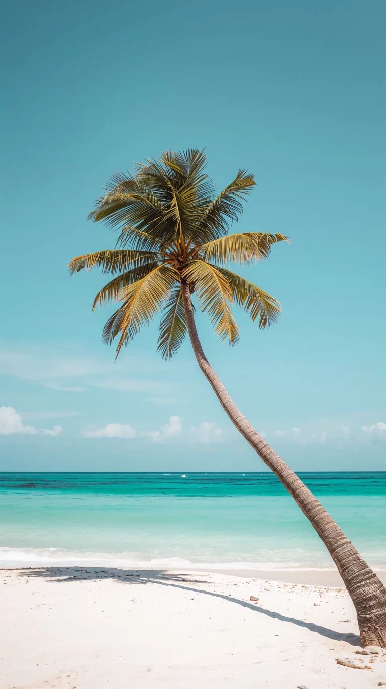 beach-summer-wallpapers-for iphone-single-palm-turquoise-water