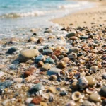 coastal-texture-wallpapers-ocean-pebbles-shell-fragments-cover