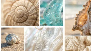 costal-texture wallpapers collage
