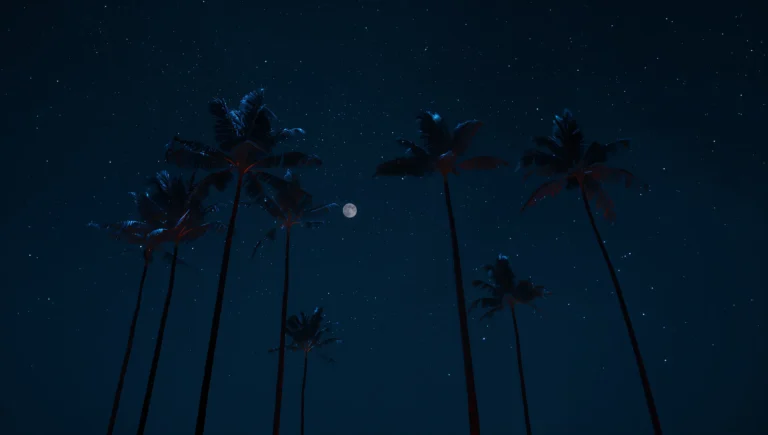 dark-summer-wallpapers-4k-midnight-palm-trees