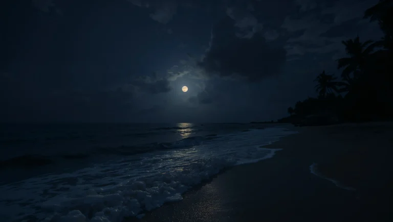 dark-summer-wallpapers-4k-moonlit-tropical-beach