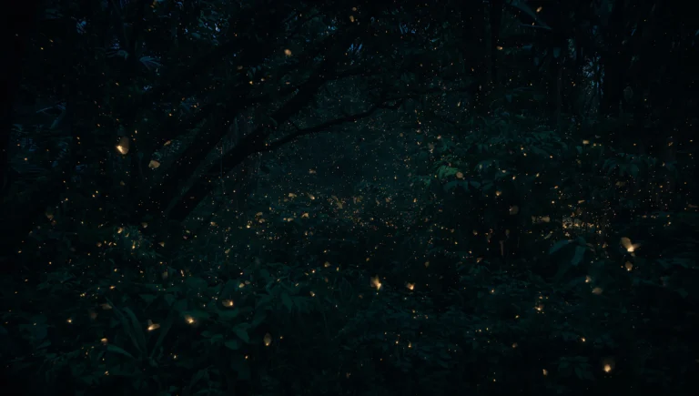 dark-summer-wallpapers-4k-tropical-fireflies