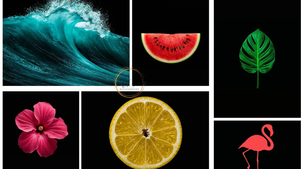 amoled summer wallpapers black collage wammpaperinspo.com