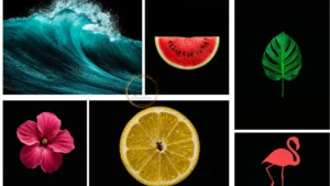 amoled summer wallpapers black collage wammpaperinspo.com