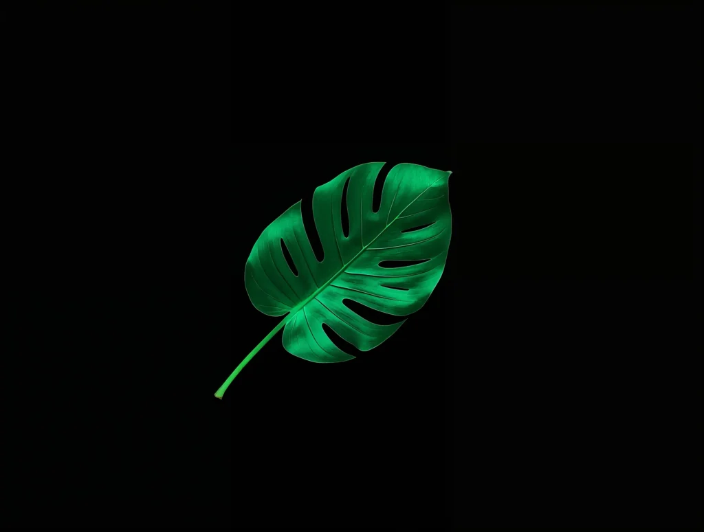 AMOLED-summer-wallpapers-black-tropical-leaf-ipad
