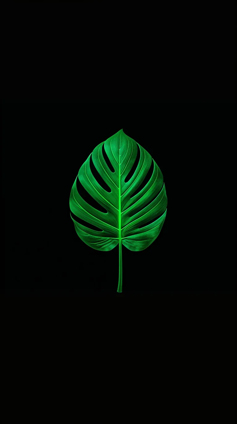 AMOLED-summer-wallpapers-black-tropical-leaf-phone