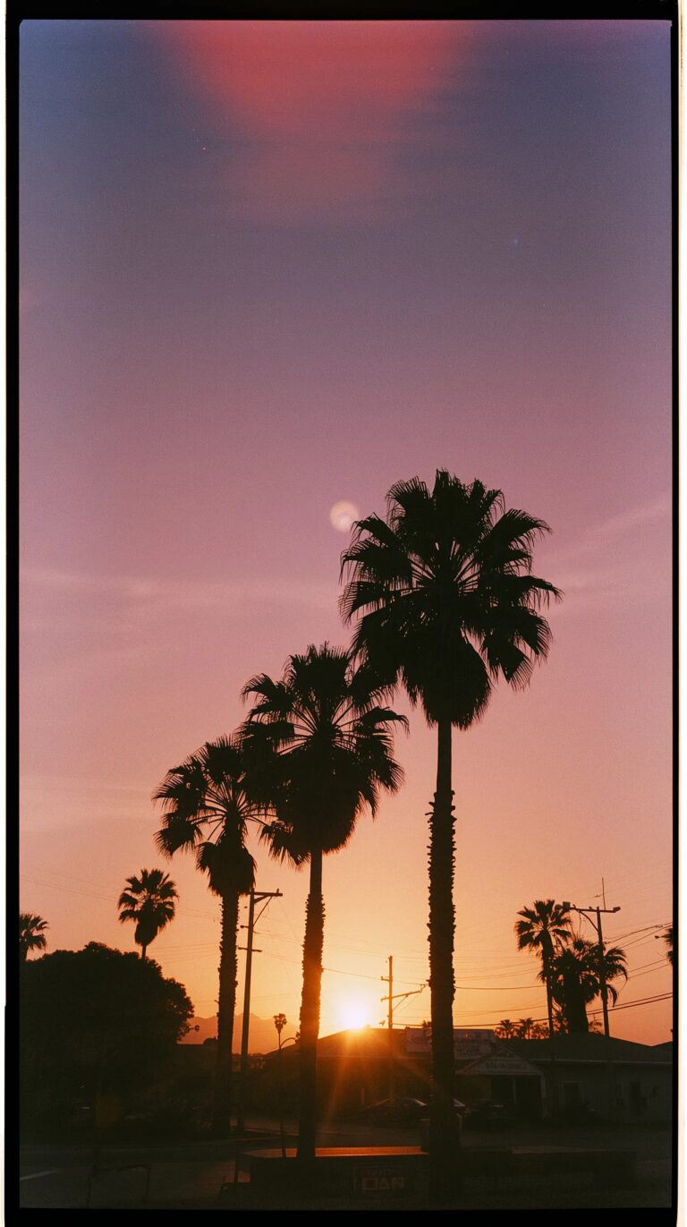 analog-summer-wallpapers-aesthetic-ocean-sunset