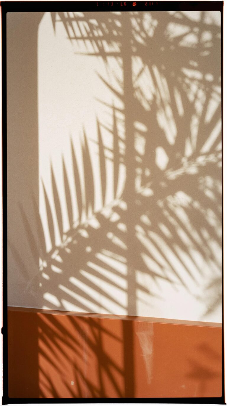analog-summer-wallpapers-aesthetic-palm-shadow