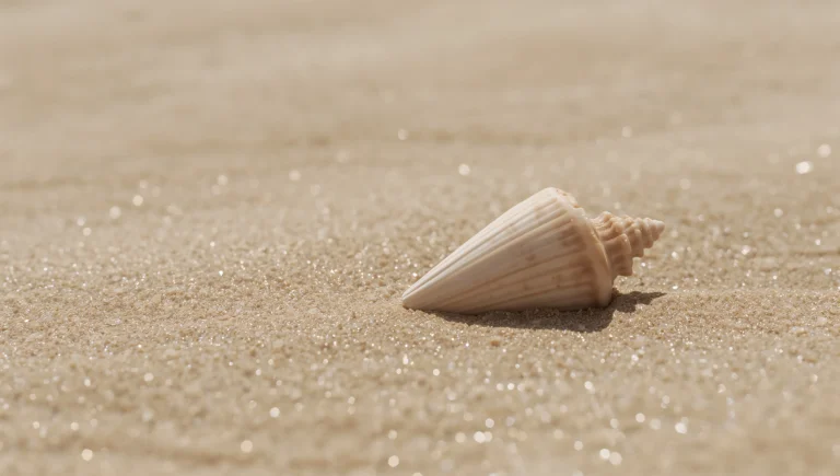 clean-summer-wallpapers-aesthetic-beige-seashell-laptop