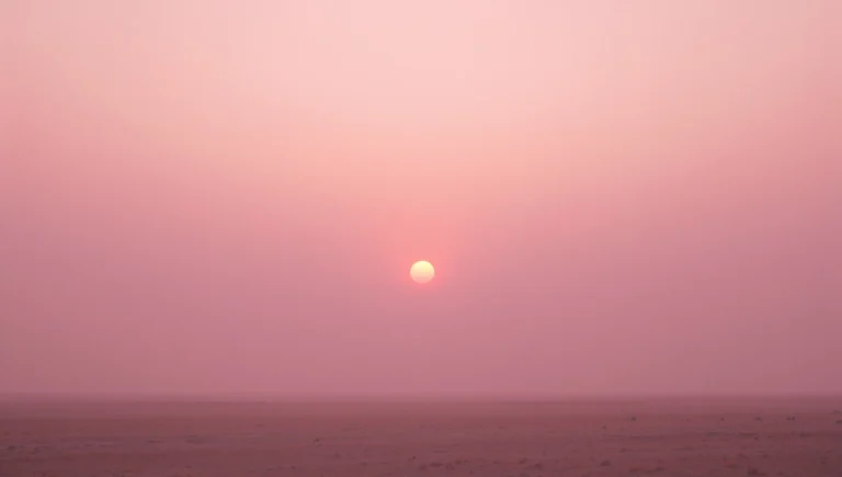 clean-summer-wallpapers-aesthetic-dusty-pink-sun-circle-laptop