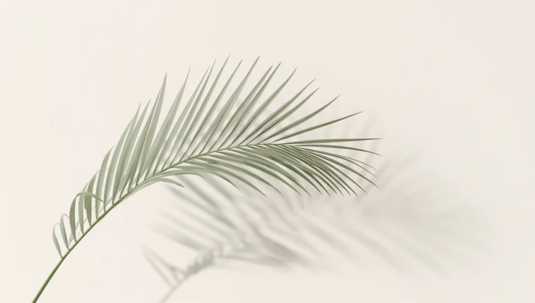 clean-summer-wallpapers-aesthetic-sage-palm-leaf-laptop