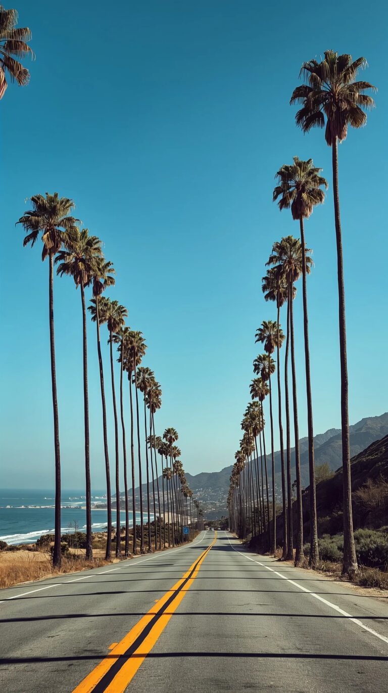 summer-adventure-wallpapers-coastal-road-palm-trees