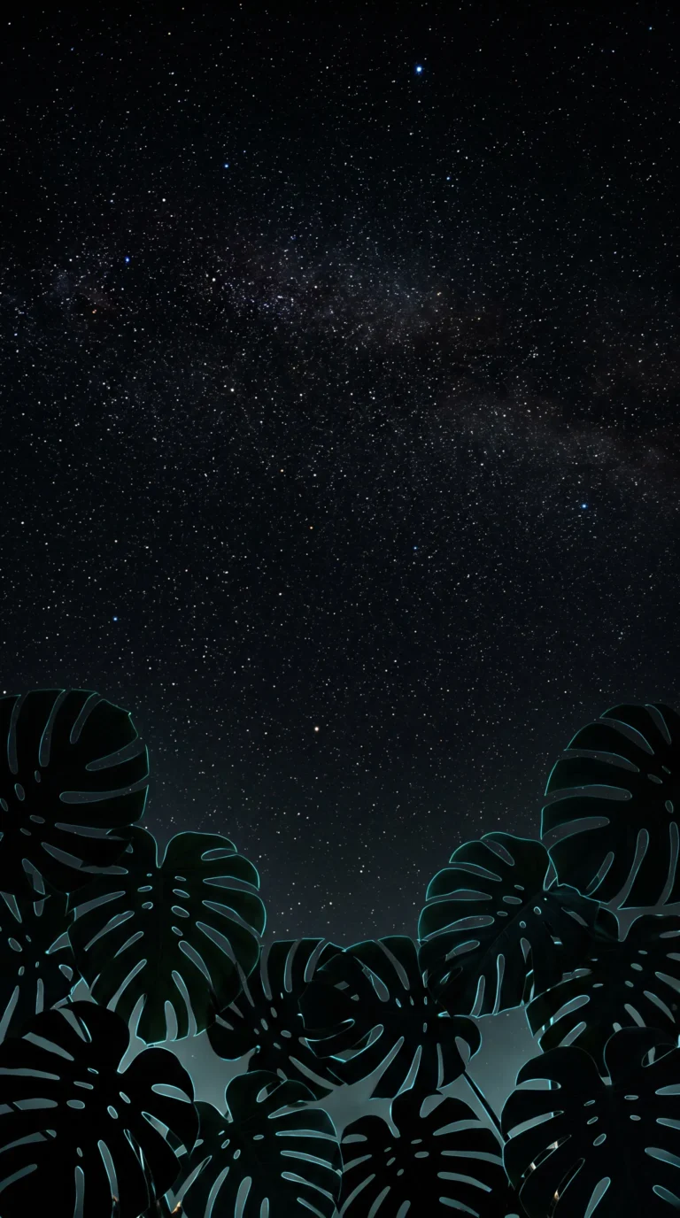 black-starry-night-wallpapers-tropical-leaves-stars